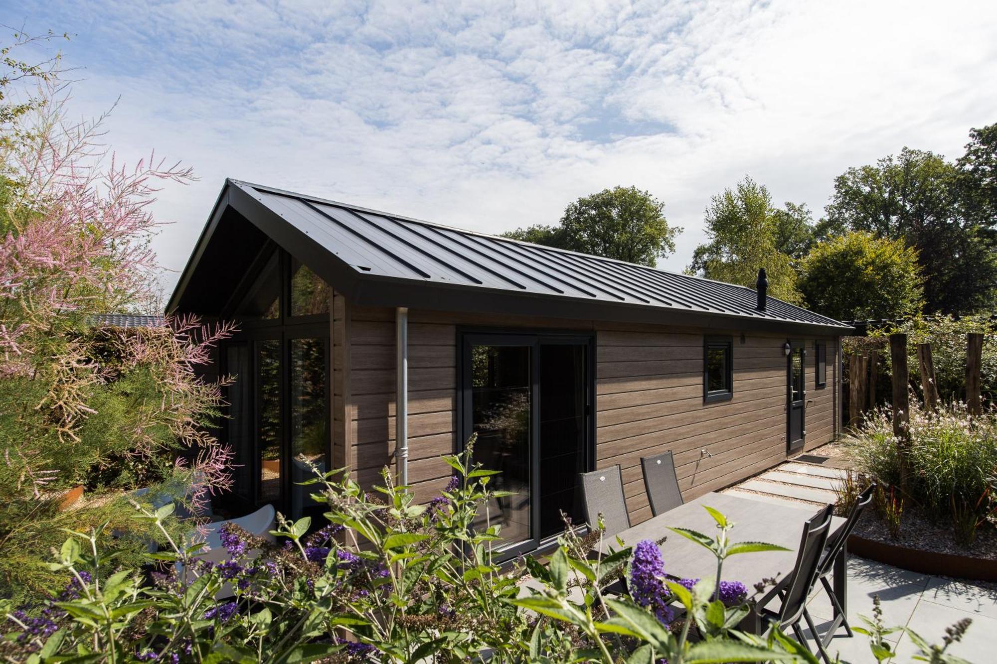Modern Ingericht Chalet Op Groen Park Op De Veluwe Epe Exterior foto