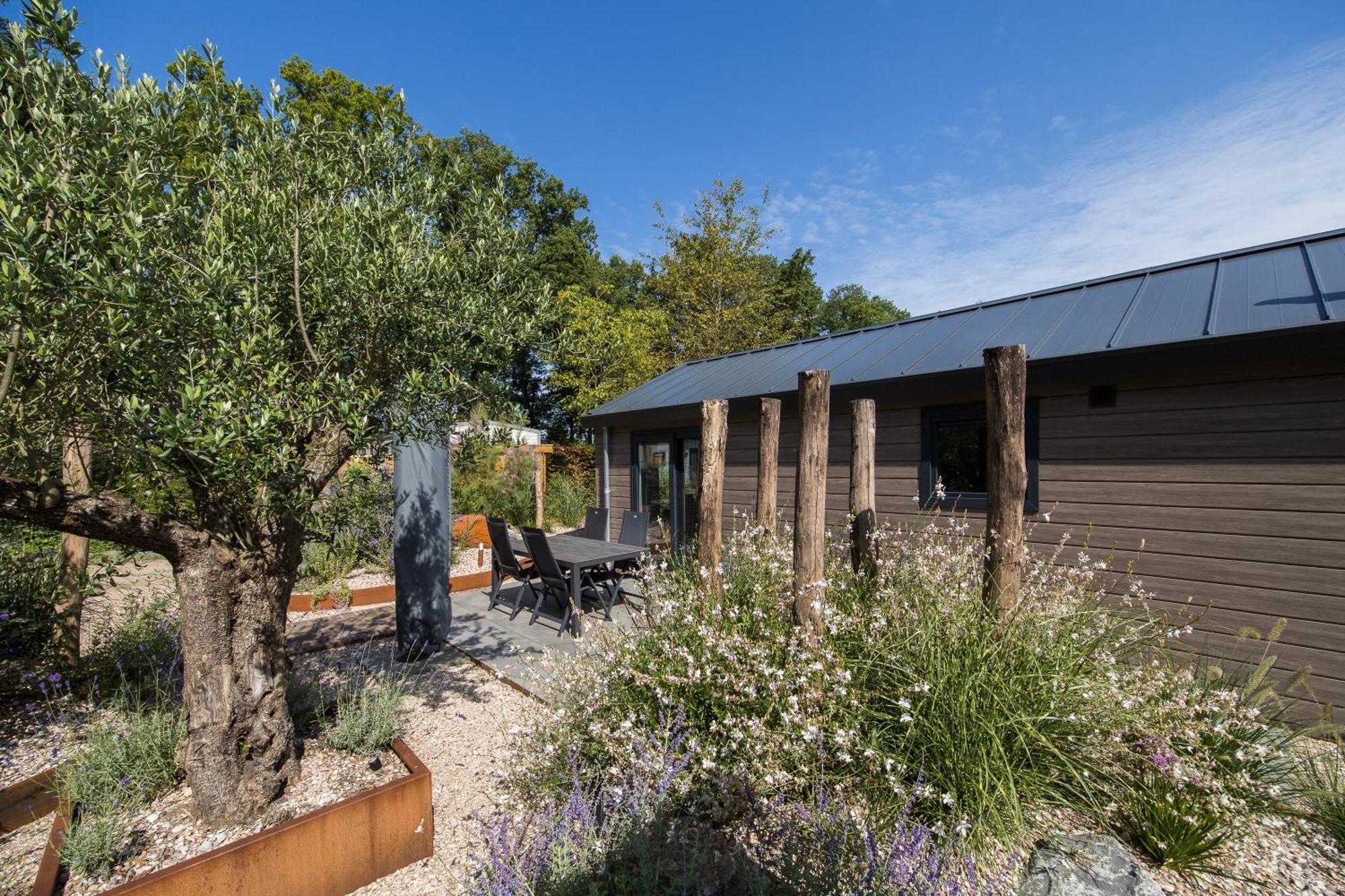 Modern Ingericht Chalet Op Groen Park Op De Veluwe Epe Exterior foto