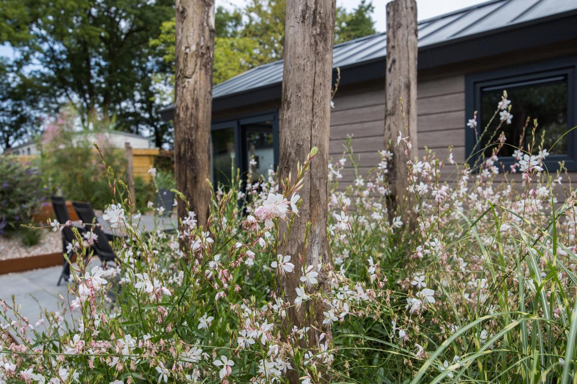 Modern Ingericht Chalet Op Groen Park Op De Veluwe Epe Exterior foto